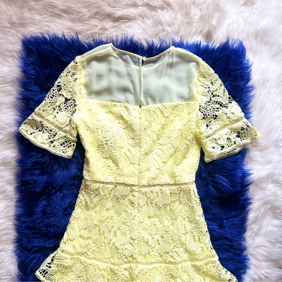 New! FRENCH CONNECTION Lace Ruffle Fit & Flare Mini Dress - Picture 9 of 11